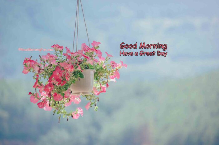 Good Morning Flowers - Good Morning Fun