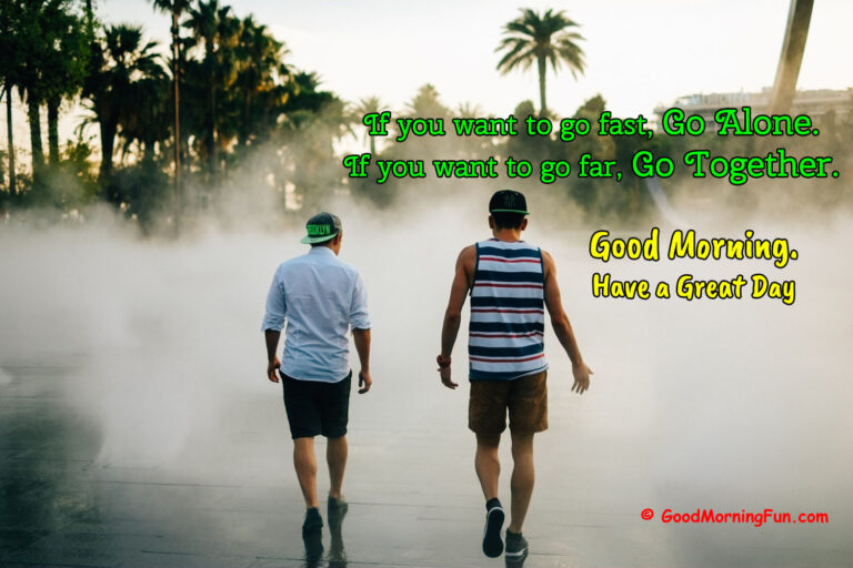 Meme Inspirational Funny Good Morning Sunshine Meme GIF Good